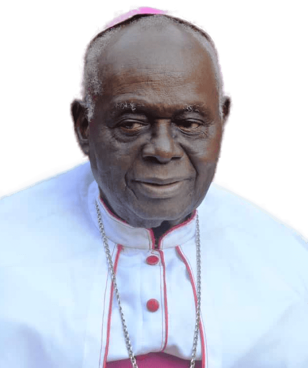 Portrait of Bishop Anthony Okonkwo Gbuji